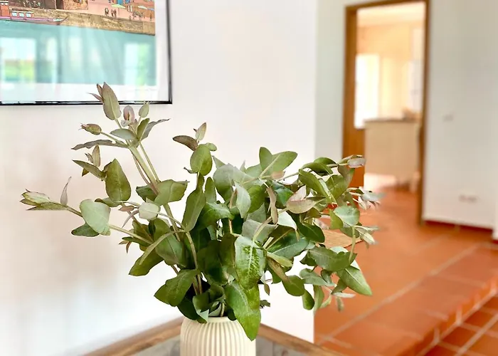 别墅 In D'el Rey, & Golf